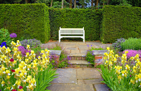 Enchanting Beauty of Newby Hall Gardens Picture Board by Steve Smith