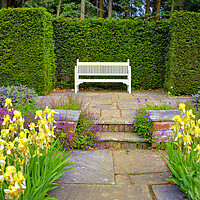 Buy canvas prints of Enchanting Beauty of Newby Hall Gardens by Steve Smith