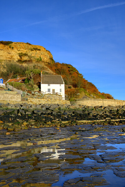 Runswick Bay North Yorkshire Picture Board by Steve Smith