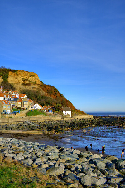 Tranquil Beauty of Runswick Bay Picture Board by Steve Smith