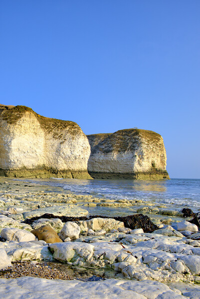 Selwicks Bay Flamborough East Yorkshire Picture Board by Steve Smith