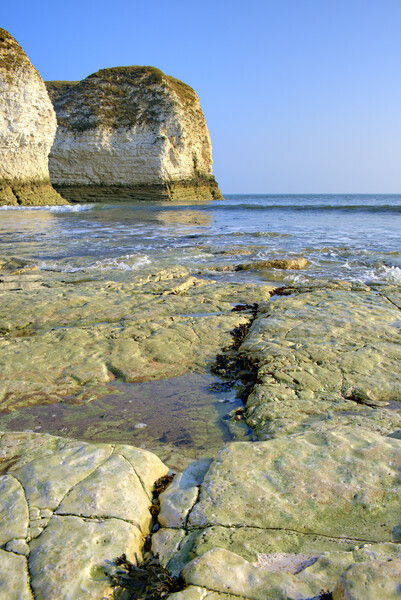 Selwicks Bay Flamborough East Yorkshire Picture Board by Steve Smith
