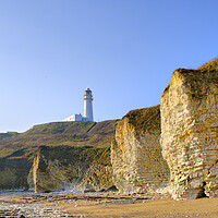 Buy canvas prints of Majestic Selwicks Bay at Flamborough by Steve Smith