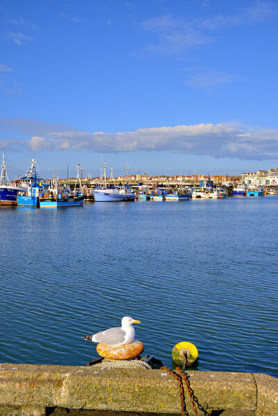 Bridlington Harbour Picture Board by Steve Smith