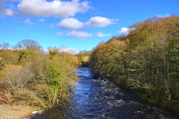 The River Swale Easby Picture Board by Steve Smith