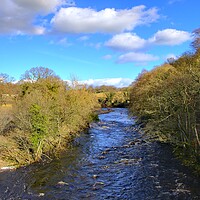 Buy canvas prints of Majestic River Swale Flowing Through Easby by Steve Smith