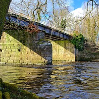Buy canvas prints of Old Railway Bridge Easby by Steve Smith
