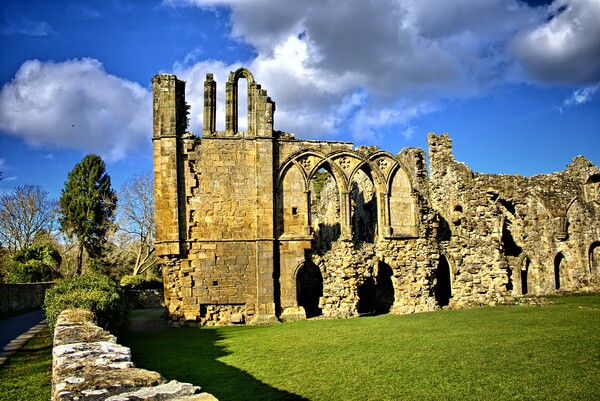 Serene ruins of Easby Abbey Picture Board by Steve Smith