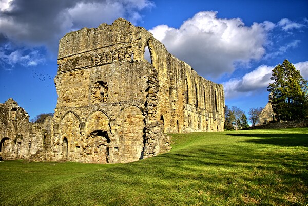Easby Abbey Picture Board by Steve Smith