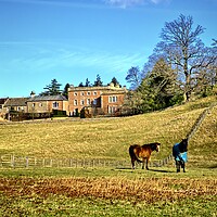 Buy canvas prints of Easby Countryside by Steve Smith