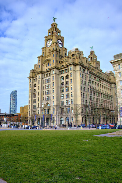 Liver Building Liverpool Picture Board by Steve Smith