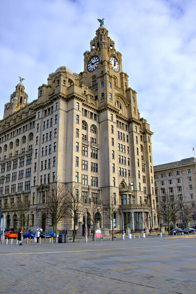 Iconic Landmark of Liverpool Picture Board by Steve Smith