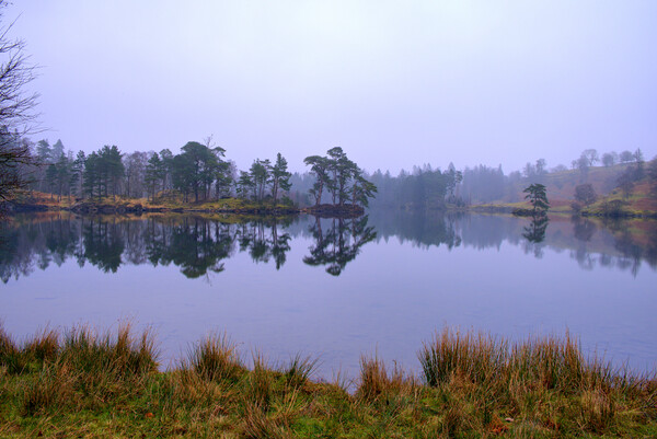 Serenity in Tarn Hows Picture Board by Steve Smith
