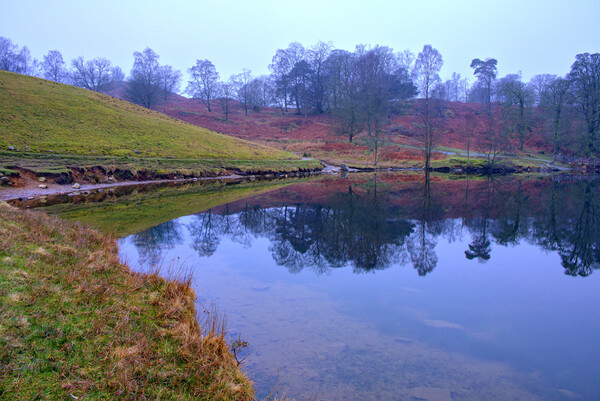 Serenity of Tarn Hows Picture Board by Steve Smith