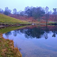 Buy canvas prints of Serenity of Tarn Hows by Steve Smith