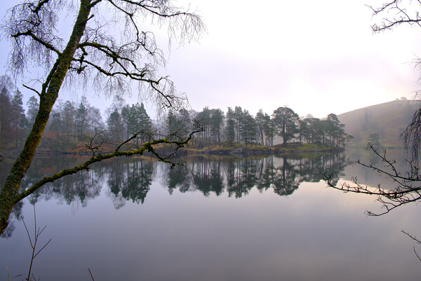 Tarn Hows Lake District Picture Board by Steve Smith