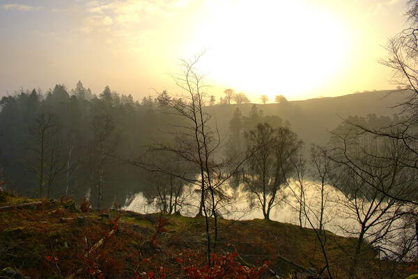 Serene Sunrise Over Tarn Hows Picture Board by Steve Smith