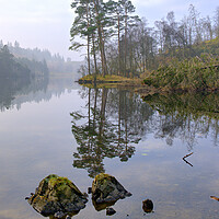Buy canvas prints of Tarn Hows Lake District by Steve Smith