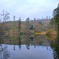 Buy canvas prints of Serene Tarn Hows by Steve Smith