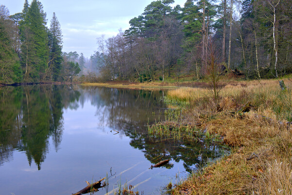 Serene Tarn Hows Picture Board by Steve Smith