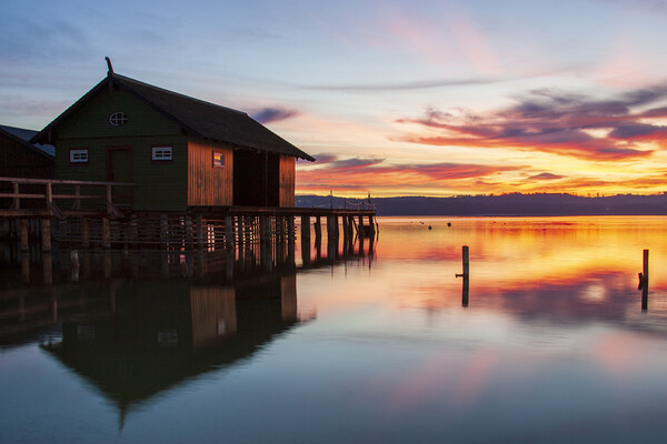 Ammersee, Bavaria, Germany Picture Board by Steve Smith
