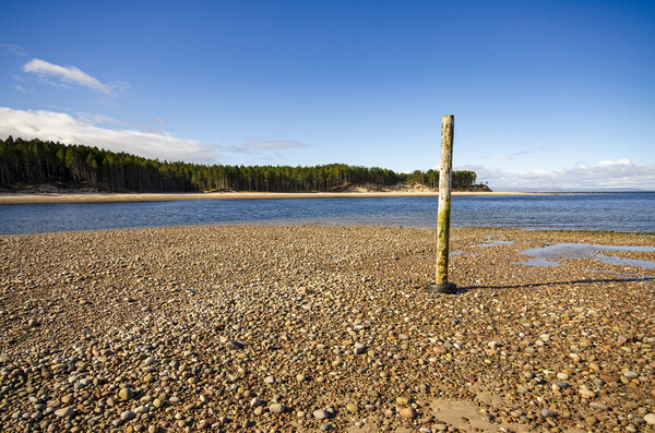Findhorn Picture Board by Steve Smith