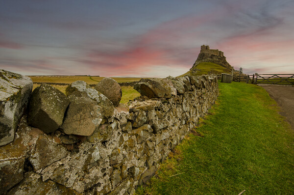 Majestic Lindisfarne Castle Picture Board by Steve Smith