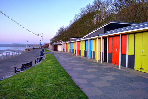 Filey Beach Huts Picture Board by Steve Smith