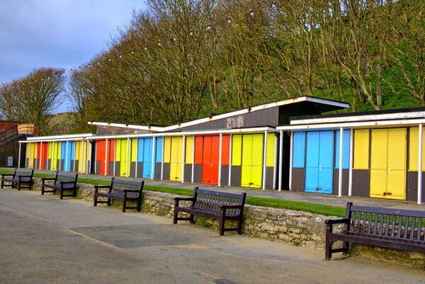 Filey Beach Huts Picture Board by Steve Smith