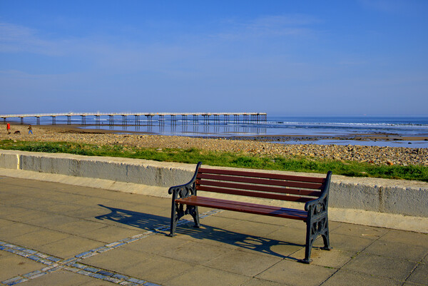 Saltburn By The Sea Views Picture Board by Steve Smith