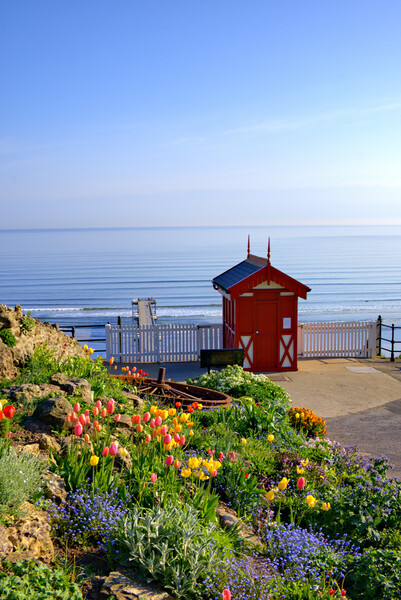 Saltburn By The Sea  Picture Board by Steve Smith