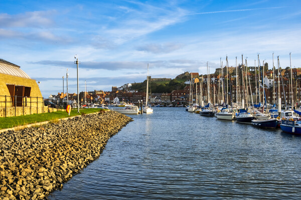 Yachting Marina Whitby Picture Board by Steve Smith