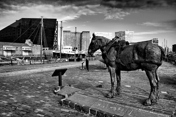 Tribute to Liverpools Working Horses Picture Board by Steve Smith