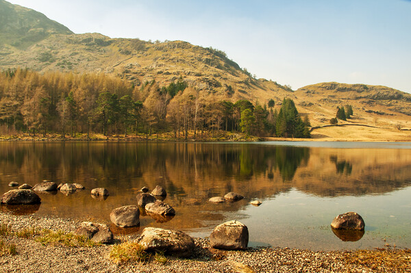 Serenity at Blea Tarn Picture Board by Steve Smith