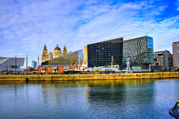 Royal Albert Docks Views Picture Board by Steve Smith