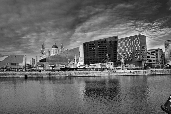 Royal Albert Docks Views Mono Picture Board by Steve Smith