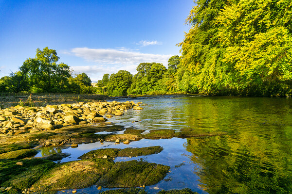 River Swale Richmond Picture Board by Steve Smith