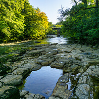 Buy canvas prints of River Swale Richmond by Steve Smith