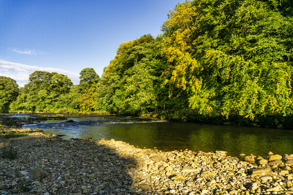 Majestic Views of River Swale Picture Board by Steve Smith