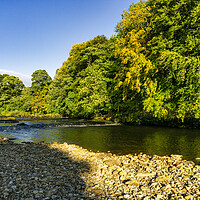 Buy canvas prints of Majestic Views of River Swale by Steve Smith