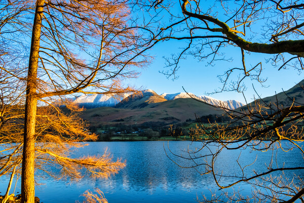 Serenity in Buttermere Picture Board by Steve Smith