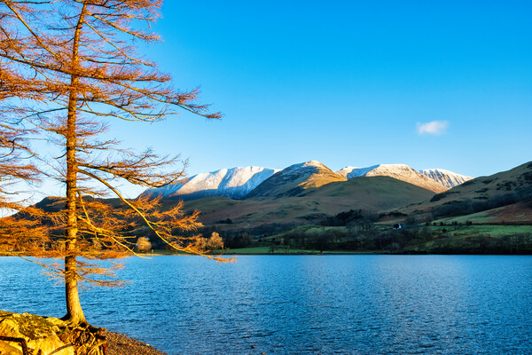 Serenity in Buttermere Picture Board by Steve Smith