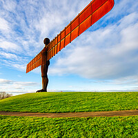 Buy canvas prints of Majestic Guardian of the North by Steve Smith