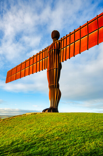 The Angel Of The North Picture Board by Steve Smith