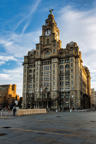 Liver Building Picture Board by Steve Smith
