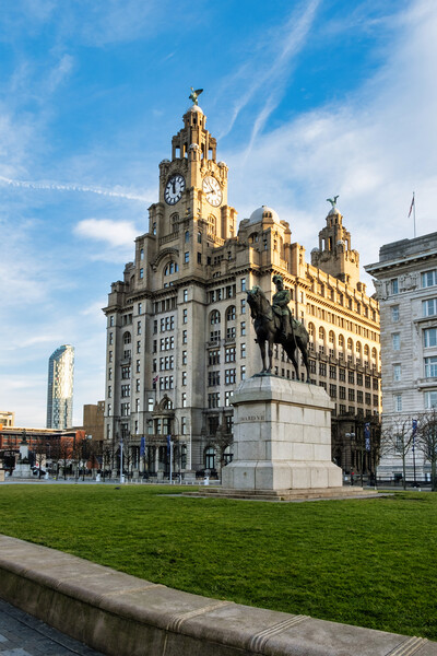 Liver Building Picture Board by Steve Smith