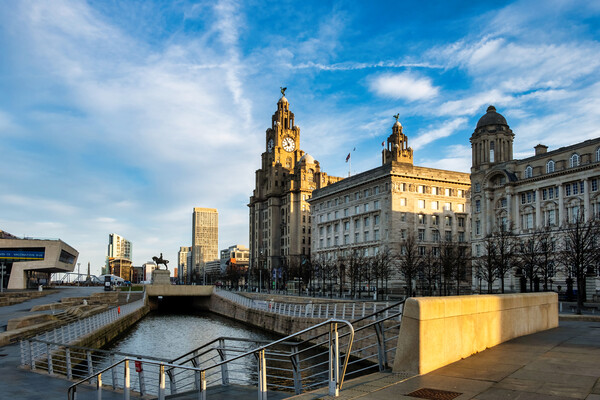 Pier Head Liverpool Views Picture Board by Steve Smith