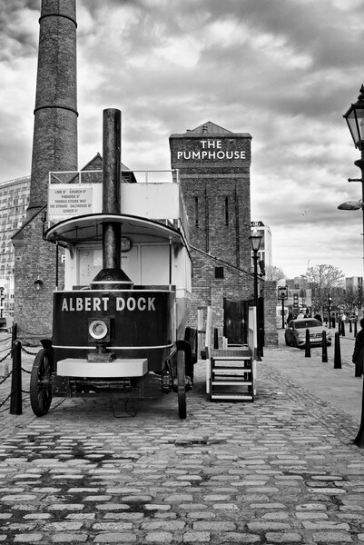 Royal Albert Docks Picture Board by Steve Smith