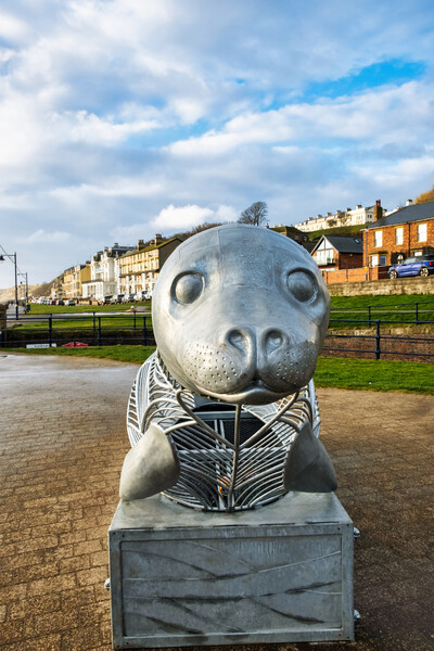 The Filey Seal Picture Board by Steve Smith