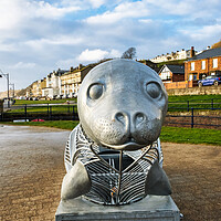 Buy canvas prints of The Filey Seal by Steve Smith